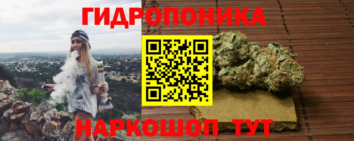 Конопля план Миасс